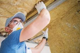 Types of Insulation We Offer in Alakanuk, AK